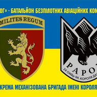 Січень 2025-го року. Українська панорама 112/344