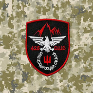 Січень 2025-го року. Українська панорама 49/344
