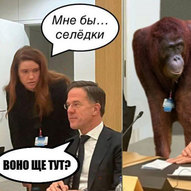 Січень 2025-го року. Українська панорама 393/344