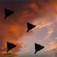 Травень 2025-го року. Українська панорама 169/397