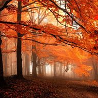 осінь в Карпатах, Україна (фото)