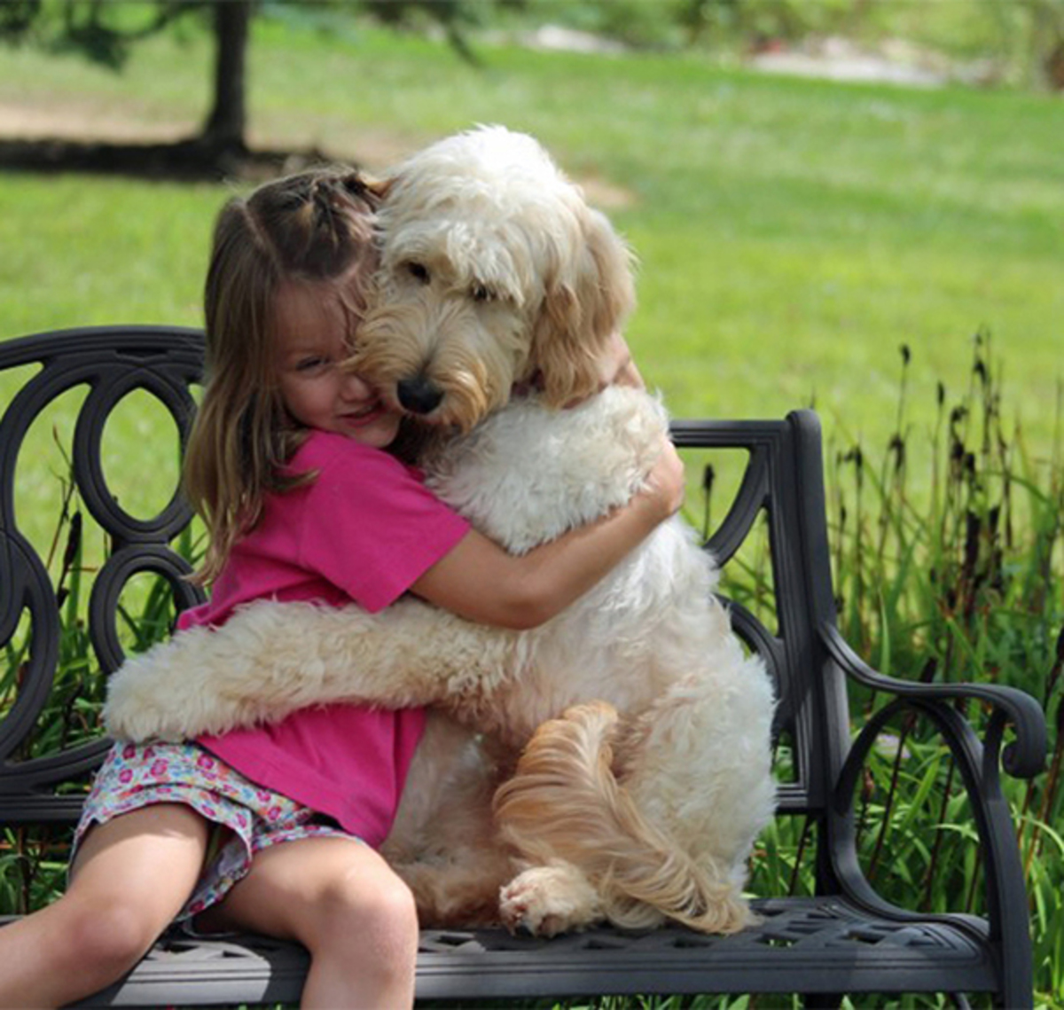 Собака и человек Дружба