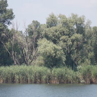 Бабино, Херсон, Каховське водосховище, фото