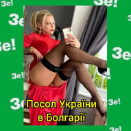 Грудень 2022-го року<br />
Українська панорама<br />
Політичний паноптикум 142/170