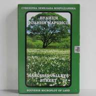 Cувенірна земельна мікроділянка, фото