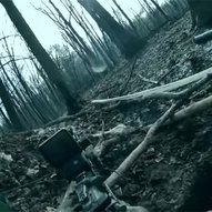 Квітень 2025-го року. Українська панорама 251/330