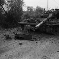 Україна, рік 2014-й. Рік Синього Дерев’яного Коня 131/229