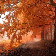 Карпатська осінь