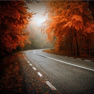 кольорові осінні листочки (фото)