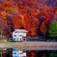кольорові листки восени