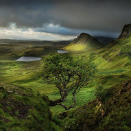 шотландська природа 