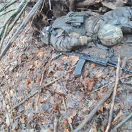 Березень 2025-го року. Українська панорама 256/314