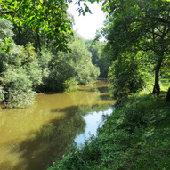 Турбази Лісова, Скоморохи (Фото)