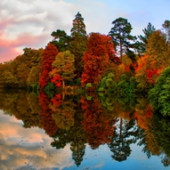 кольорові дерева восени