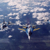 Березень 2025-го року. Українська панорама 100/314