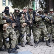 Україна, рік 2014-й. Рік Синього Дерев’яного Коня 256/229