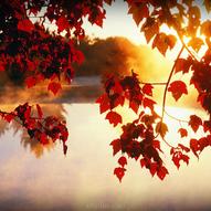 озеро восени (фото)