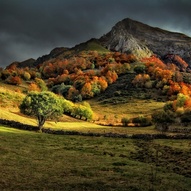 кольорове осіннє листя (фото)