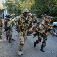 Україна, рік 2014-й. Рік Синього Дерев’яного Коня 36/229