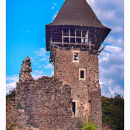 Невицький замок.