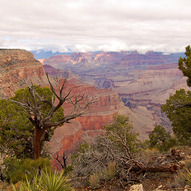Grand Canyon, USA (photo)