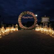 фотозона на весілля 13/28