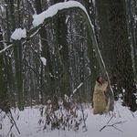 кадри з фільму Лісова пісня, Вінниця (фото)